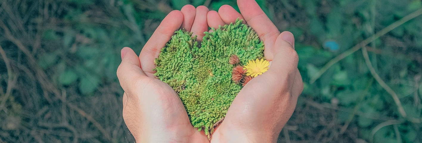 hands holding seeds in hart shape
